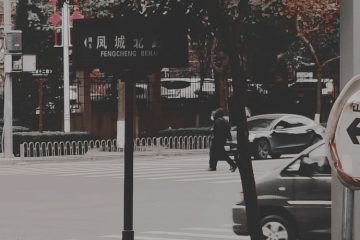 découvrez l'incroyable parcours de jason kidd, l'un des plus grands meneurs de jeu de l'histoire de la nba. analyse de sa carrière, de ses exploits sur le terrain et de son impact dans le monde du basketball.