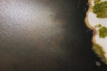 découvrez l'univers captivant de patrick bruel, chanteur, acteur et artiste emblématique français. plongez dans sa carrière, ses succès musicaux et cinématographiques, ainsi que ses engagements. suivez ses actualités et revivez ses plus grands moments sur scène.