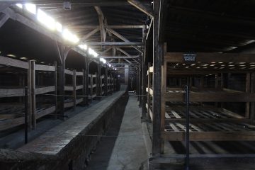 découvrez l'impact historique d'adolf hitler, figure centrale de la seconde guerre mondiale et instigateur de politiques controversées qui ont façonné le xxe siècle. analyse de son ascension au pouvoir, de ses idéologies et des conséquences de son régime sur l'europe et le monde.