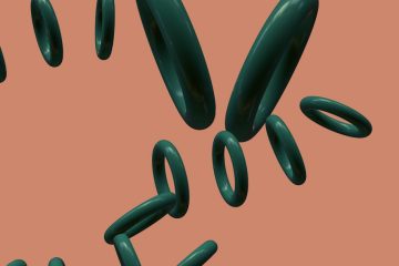 découvrez les causes, symptômes, traitement et prévention de la légionellose, une infection pulmonaire grave provoquée par la bactérie legionella. informez-vous pour protéger votre santé.