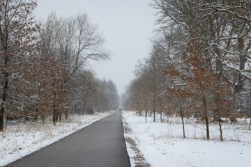 découvrez l’authenticité de l’hiver américain : traditions, paysages enneigés et expériences uniques pour vivre une saison hivernale inoubliable aux états-unis.