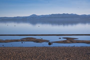 découvrez le concept 'no kings' : une philosophie qui prône l'égalité, l'autonomie et le rejet de toute forme de domination ou de hiérarchie dans la société.