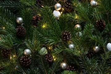 découvrez tout sur noël : traditions, décorations, recettes festives et idées cadeaux pour célébrer la magie des fêtes en famille.