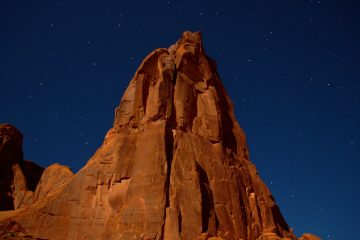 découvrez park avenue, une adresse emblématique alliant élégance urbaine et cadre verdoyant, idéale pour un style de vie raffiné en plein cœur de la ville.