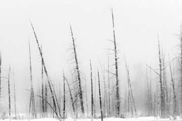 découvrez tout sur la snowstorm : conditions météorologiques, conseils de sécurité et impacts. préparez-vous efficacement face aux tempêtes de neige.